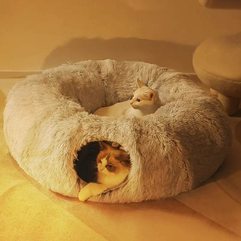 Cats Bed House